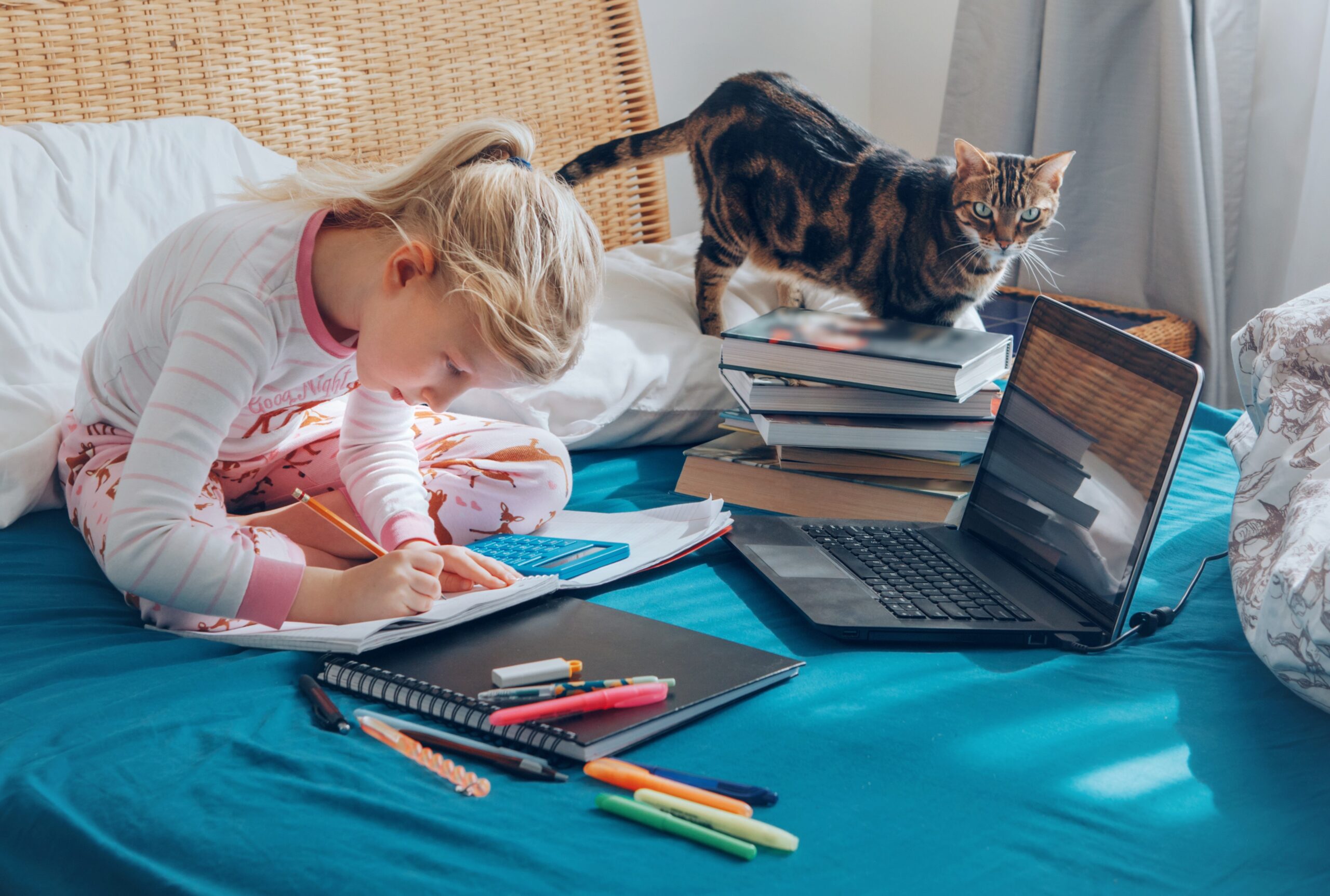 Child doing school work with cat looking on from a pile of textbooks