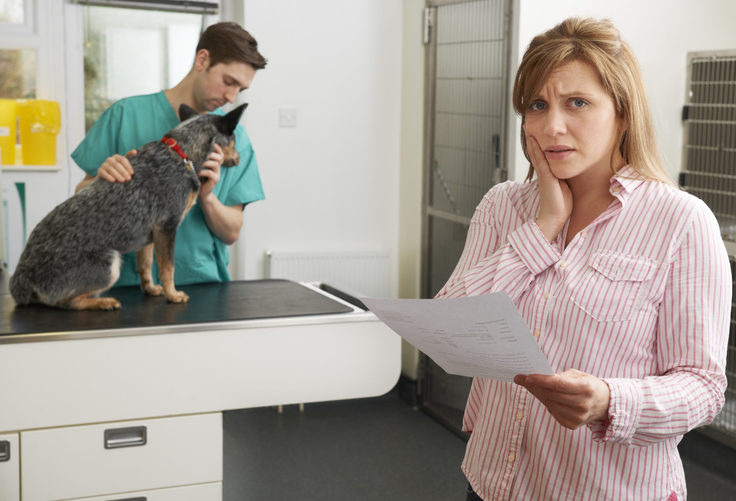 Woman looking worried, papers in hand, presumably vet bill. Dog and veterinary care worker in background.