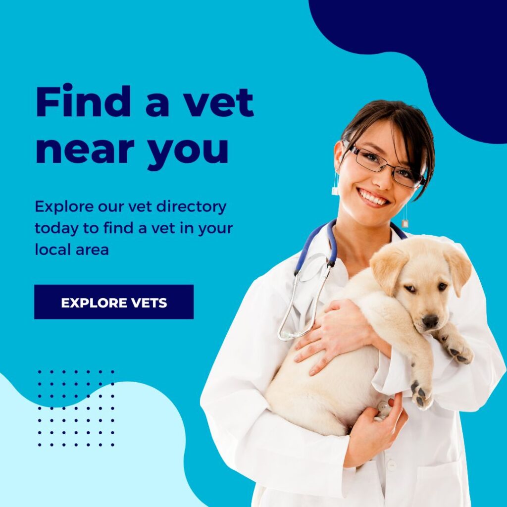 Find a vet ad