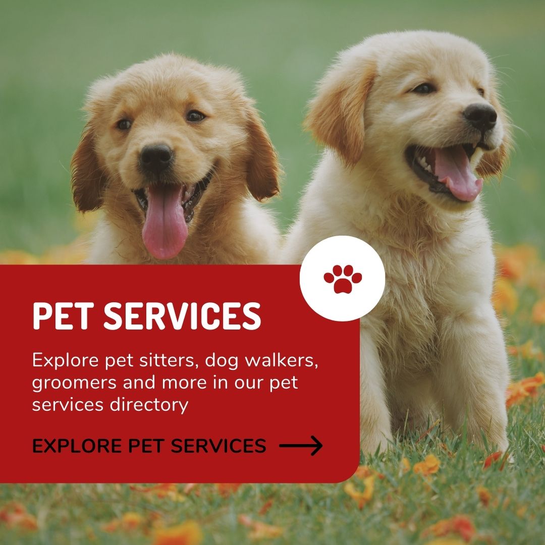 Pet Services ad