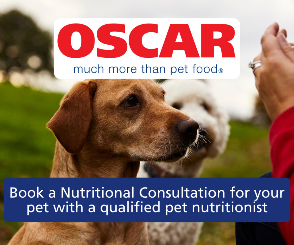 Oscars pet foods ad banner